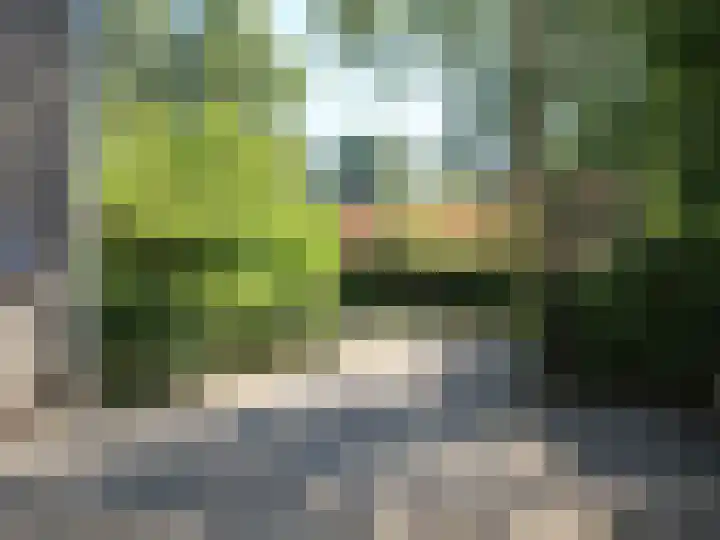 Doornekamp 24 Harderwijk thumbnail 30