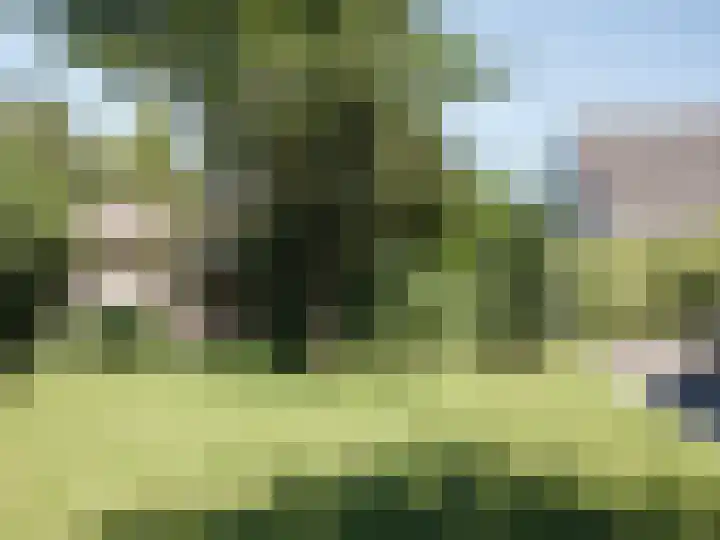 Doornekamp 24 Harderwijk thumbnail 4
