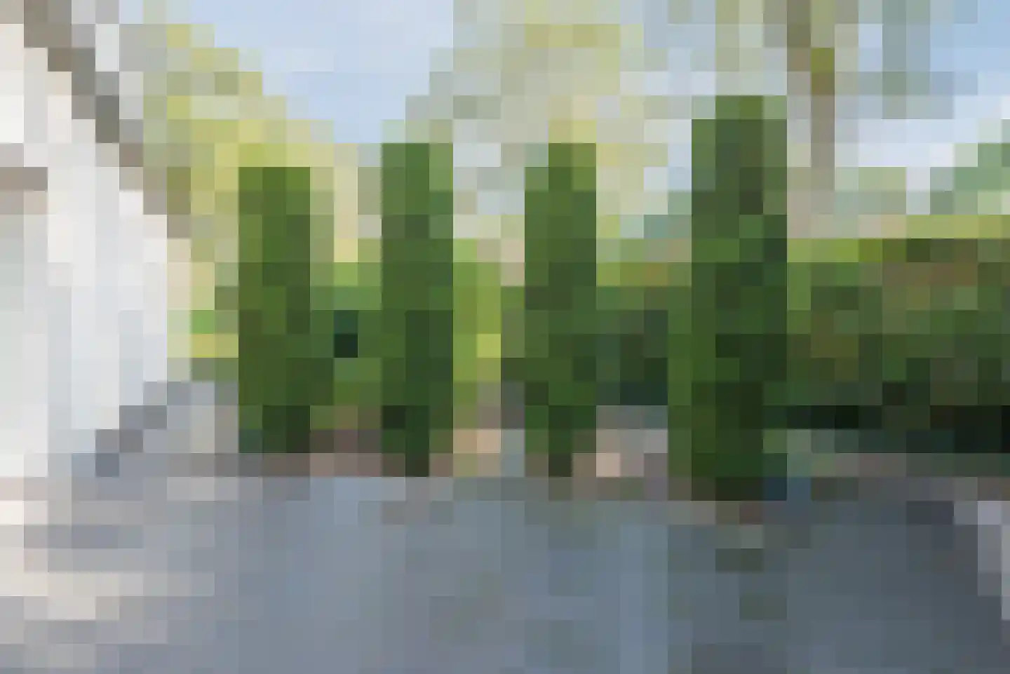 Doornekamp 26 Harderwijk thumbnail 61