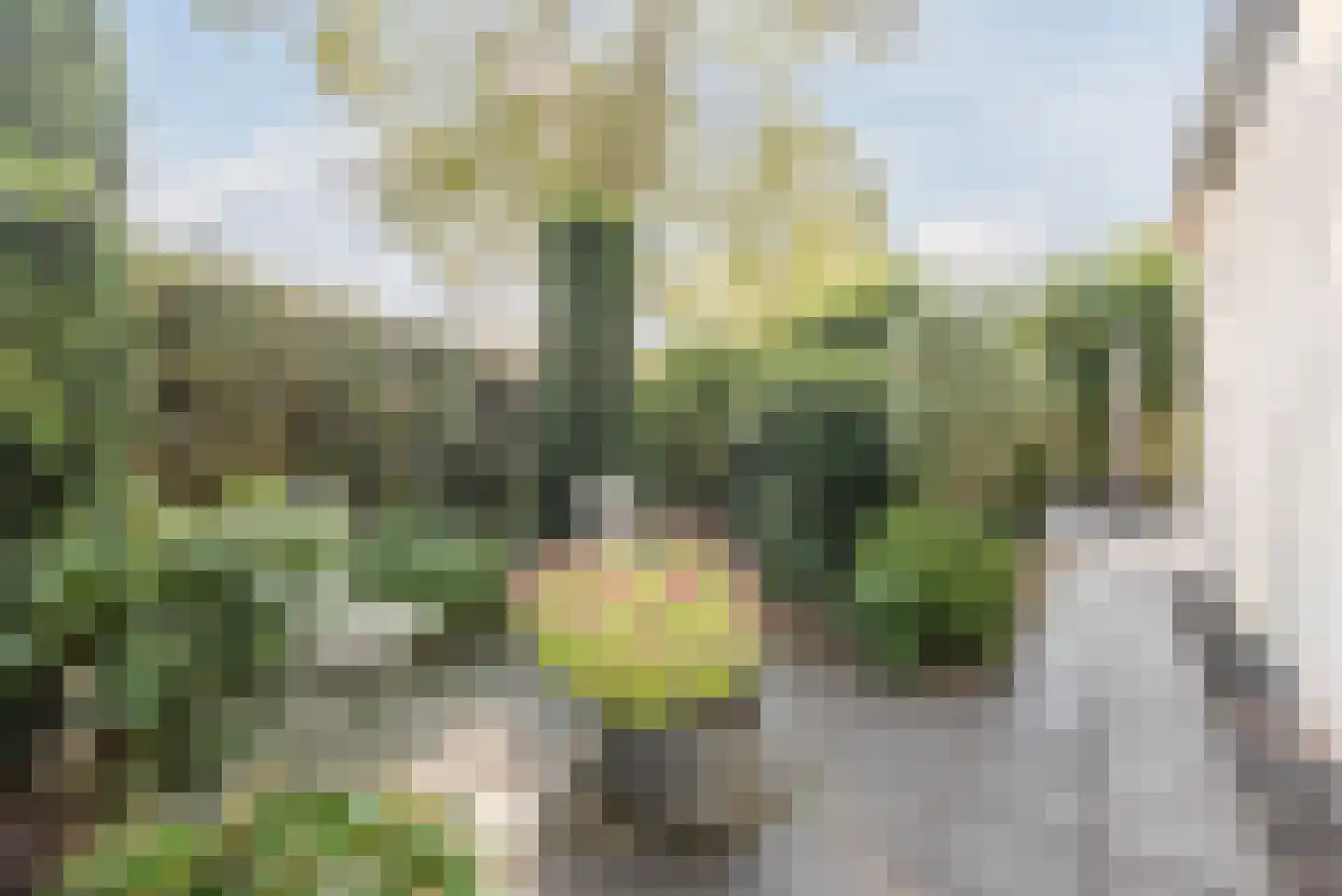 Doornekamp 26 Harderwijk thumbnail 62