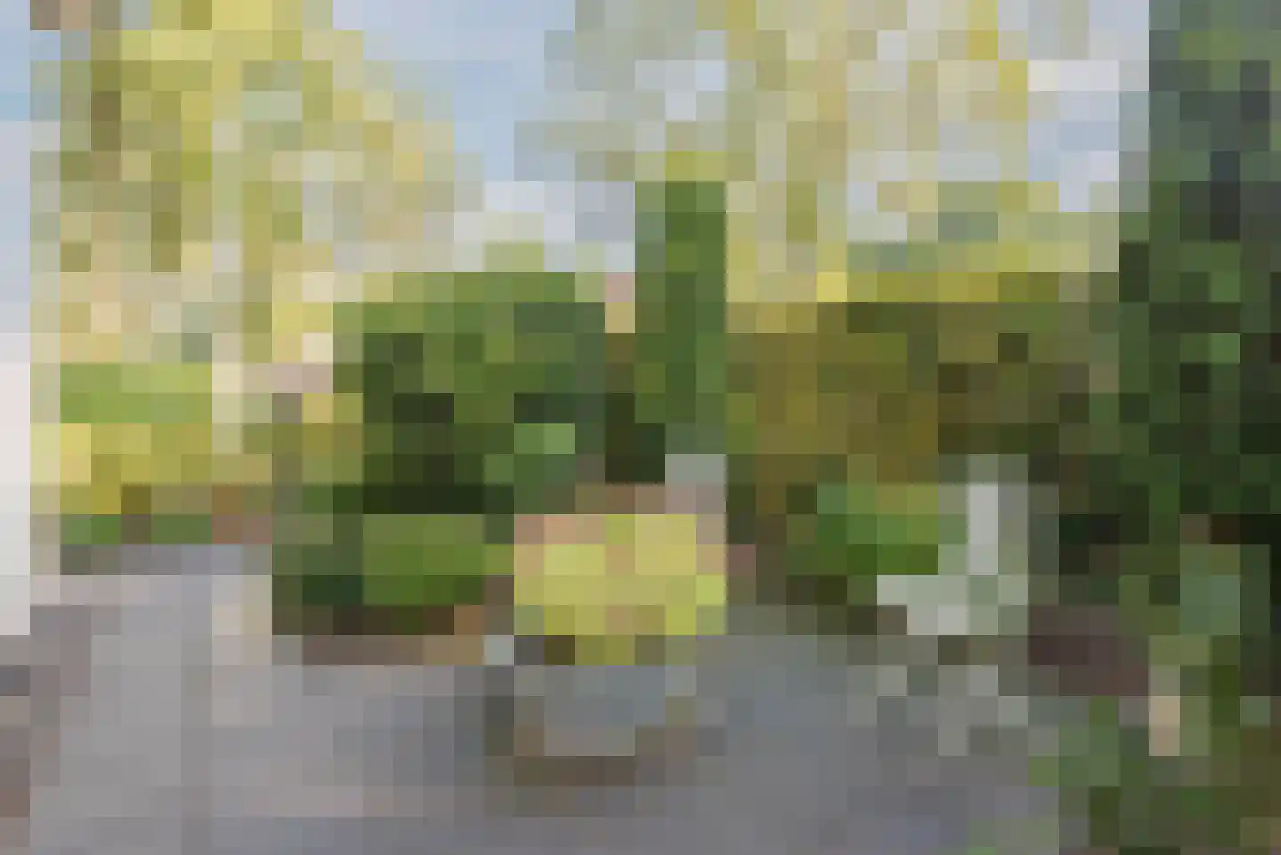 Doornekamp 26 Harderwijk thumbnail 63