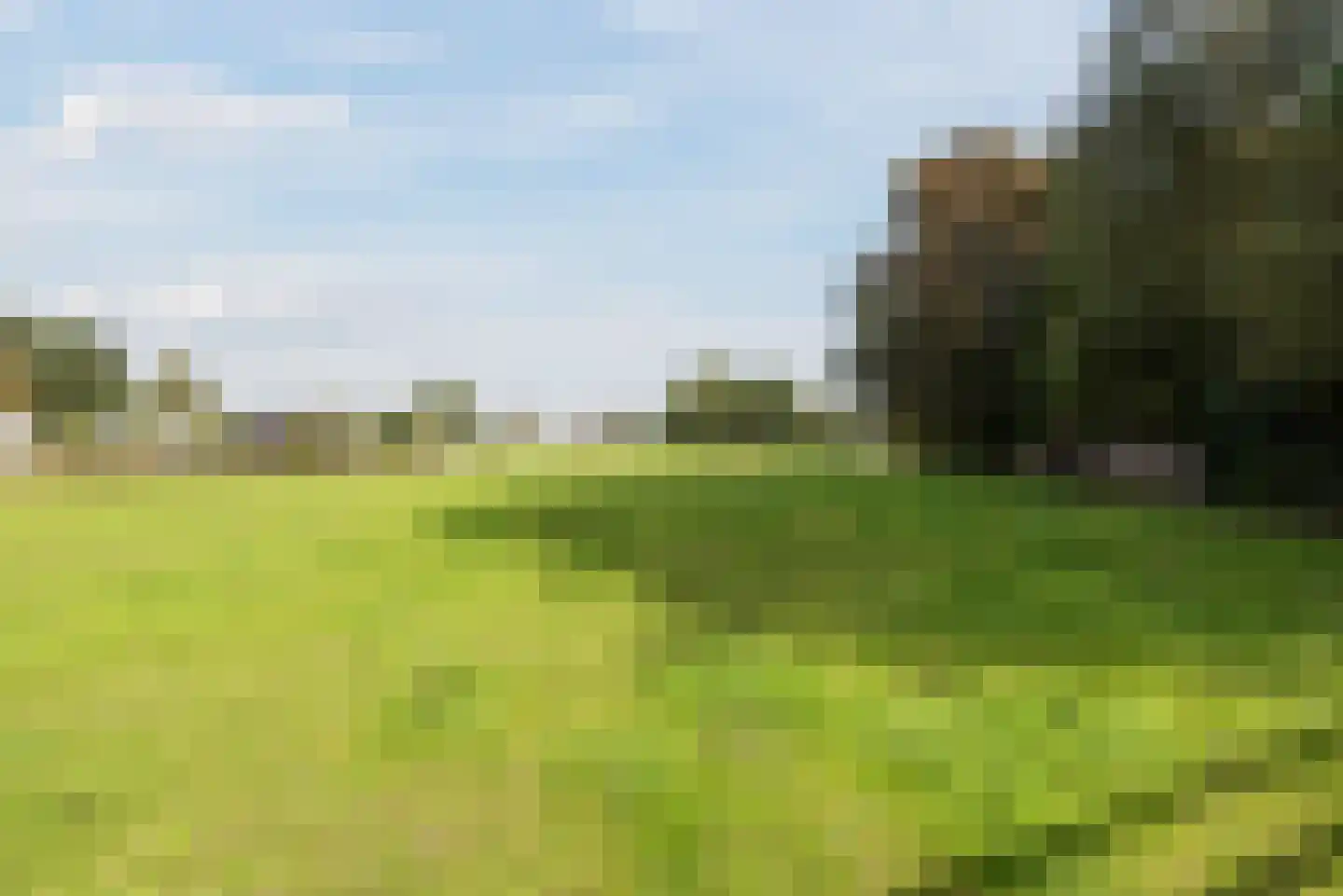 Doornekamp 26 Harderwijk thumbnail 76