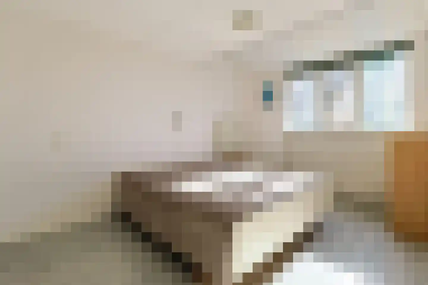 Doornenburg 104 Alphen aan den Rijn thumbnail 17