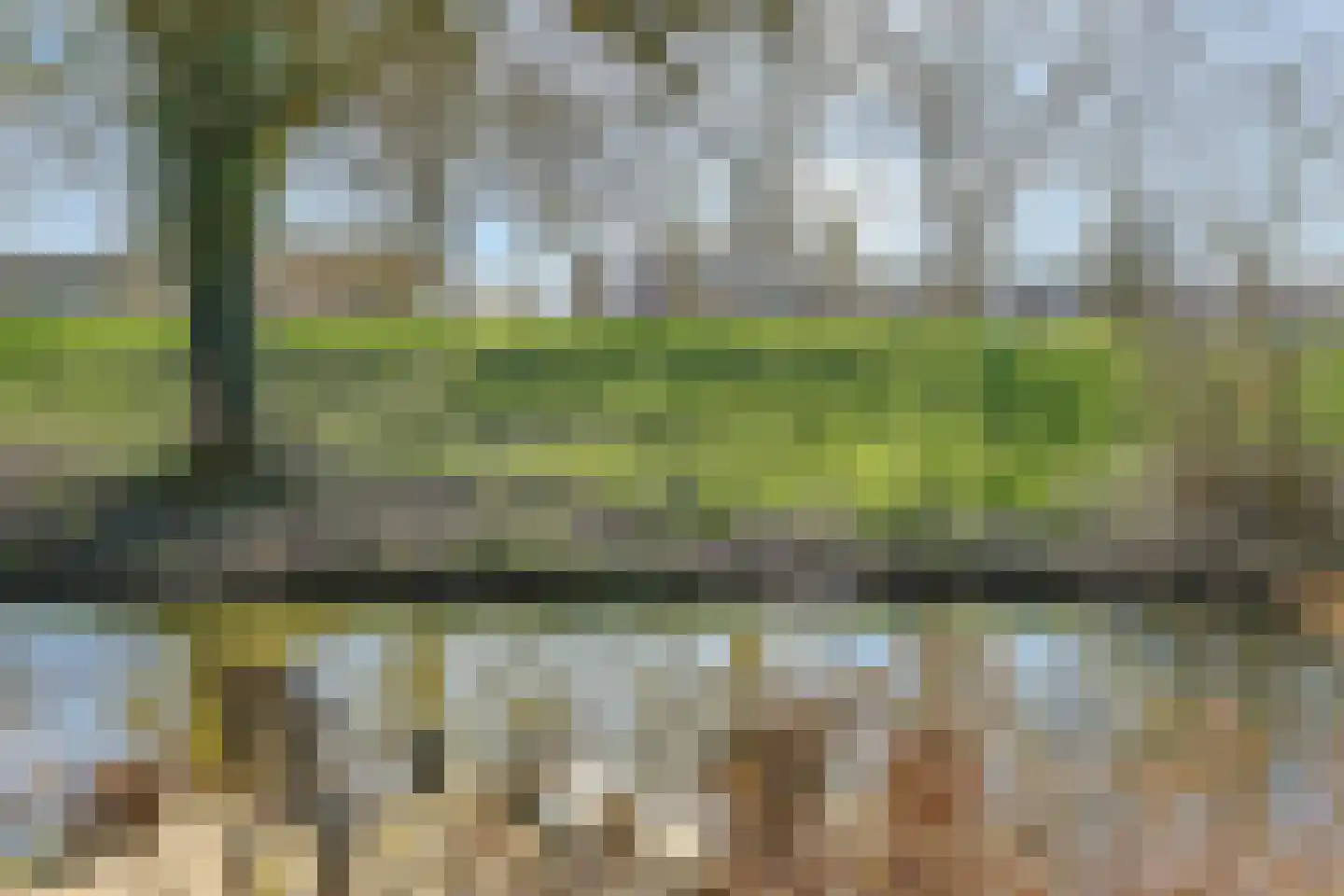 Doornenburg 104 Alphen aan den Rijn thumbnail 39
