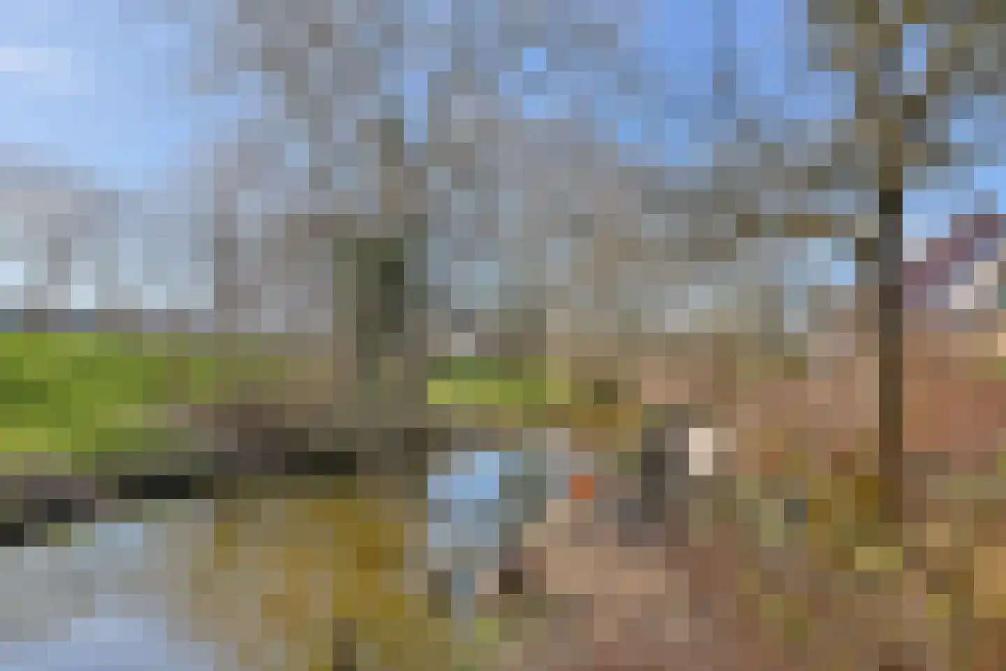 Doornenburg 104 Alphen aan den Rijn thumbnail 40