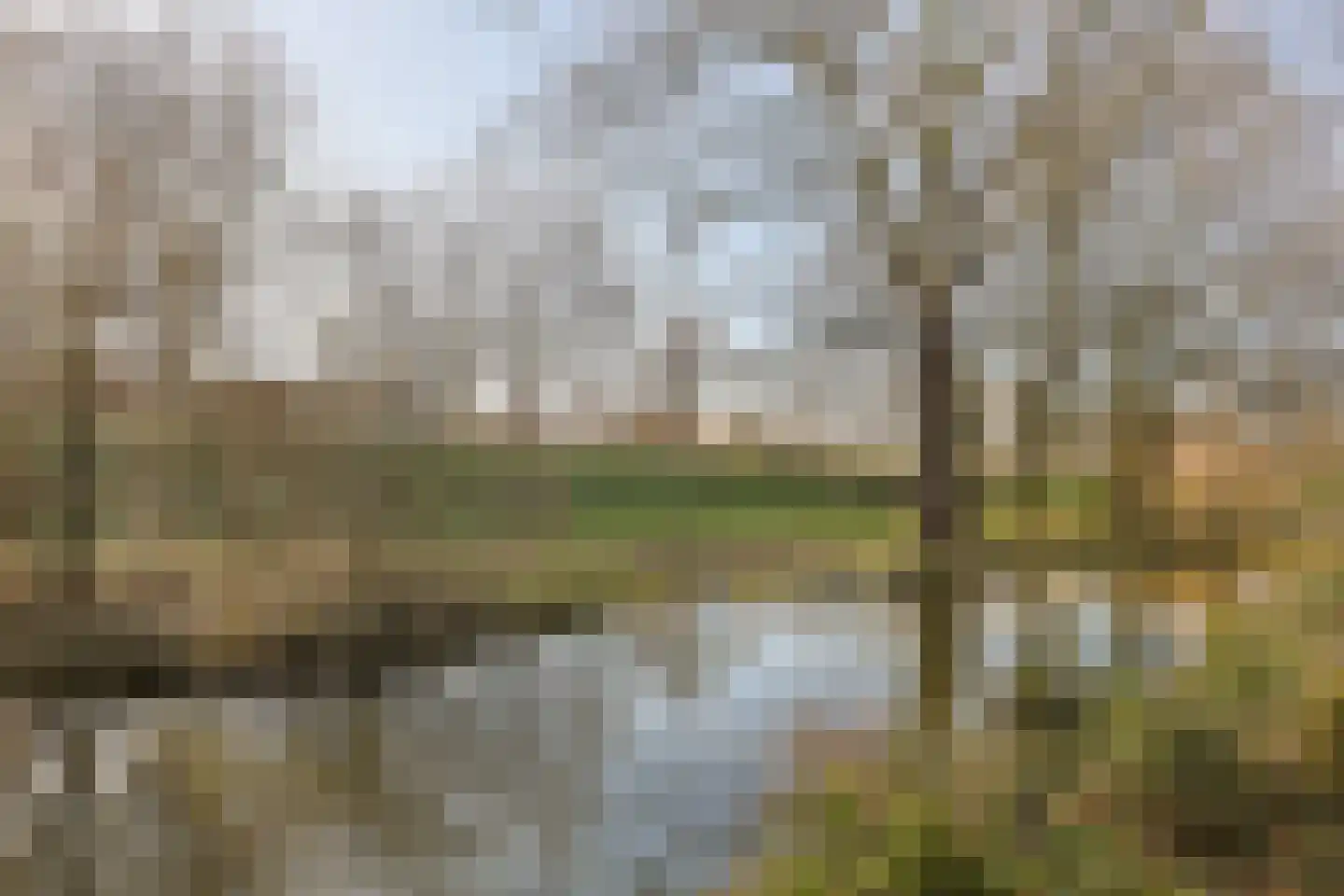 Doornenburg 104 Alphen aan den Rijn thumbnail 43
