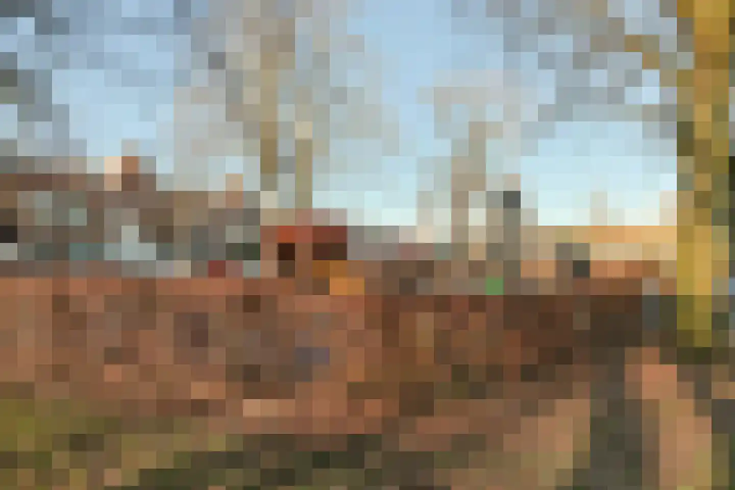 Doornenburg 104 Alphen aan den Rijn thumbnail 44