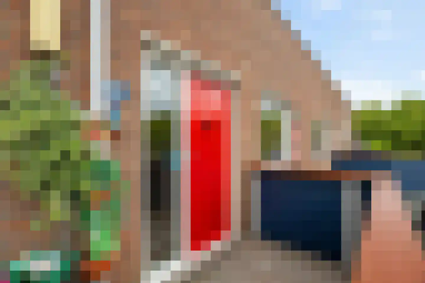 Doornenburg 110 Dordrecht thumbnail 8