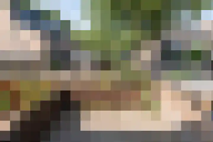 Doornenburg 12 Barneveld thumbnail 26