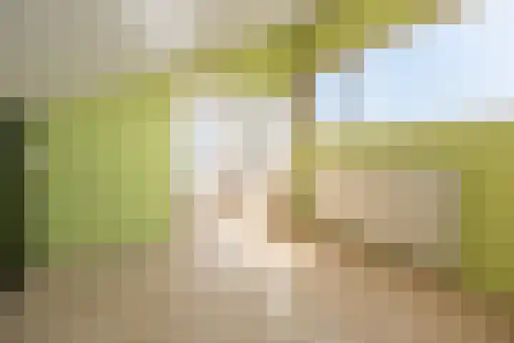 Doornenburg 12 Barneveld thumbnail 31