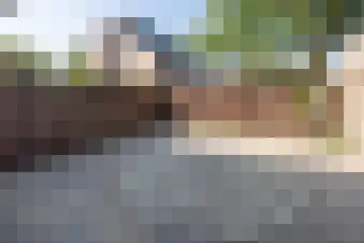 Doornenburg 12 Barneveld thumbnail 34