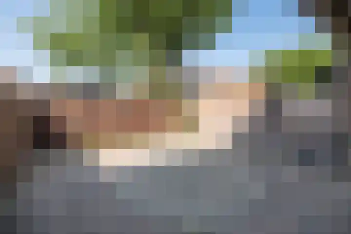 Doornenburg 12 Barneveld thumbnail 36