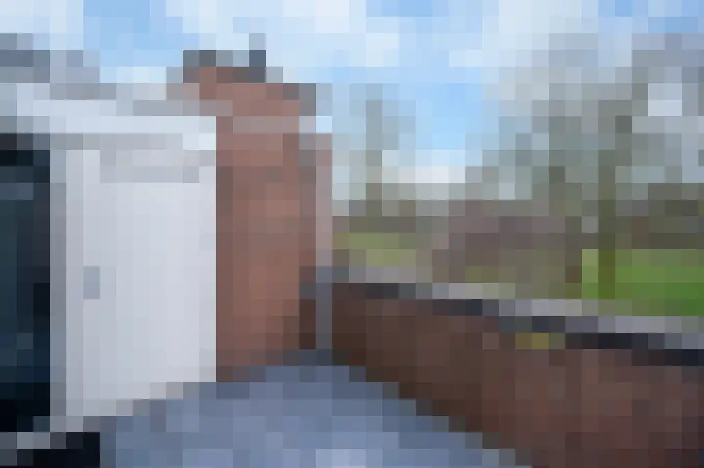 Doornenburg 122 Alphen aan den Rijn thumbnail 17