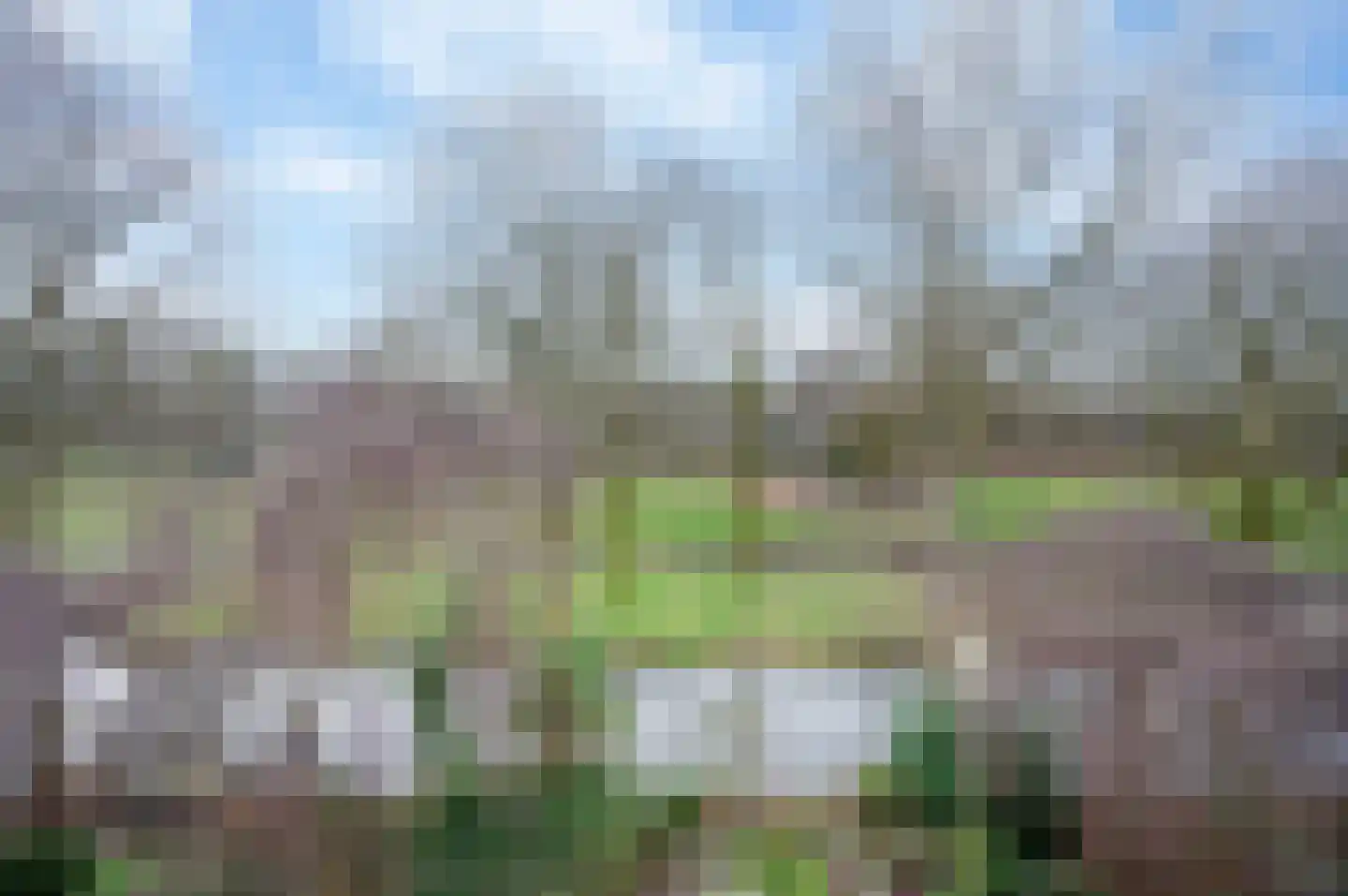 Doornenburg 122 Alphen aan den Rijn thumbnail 19