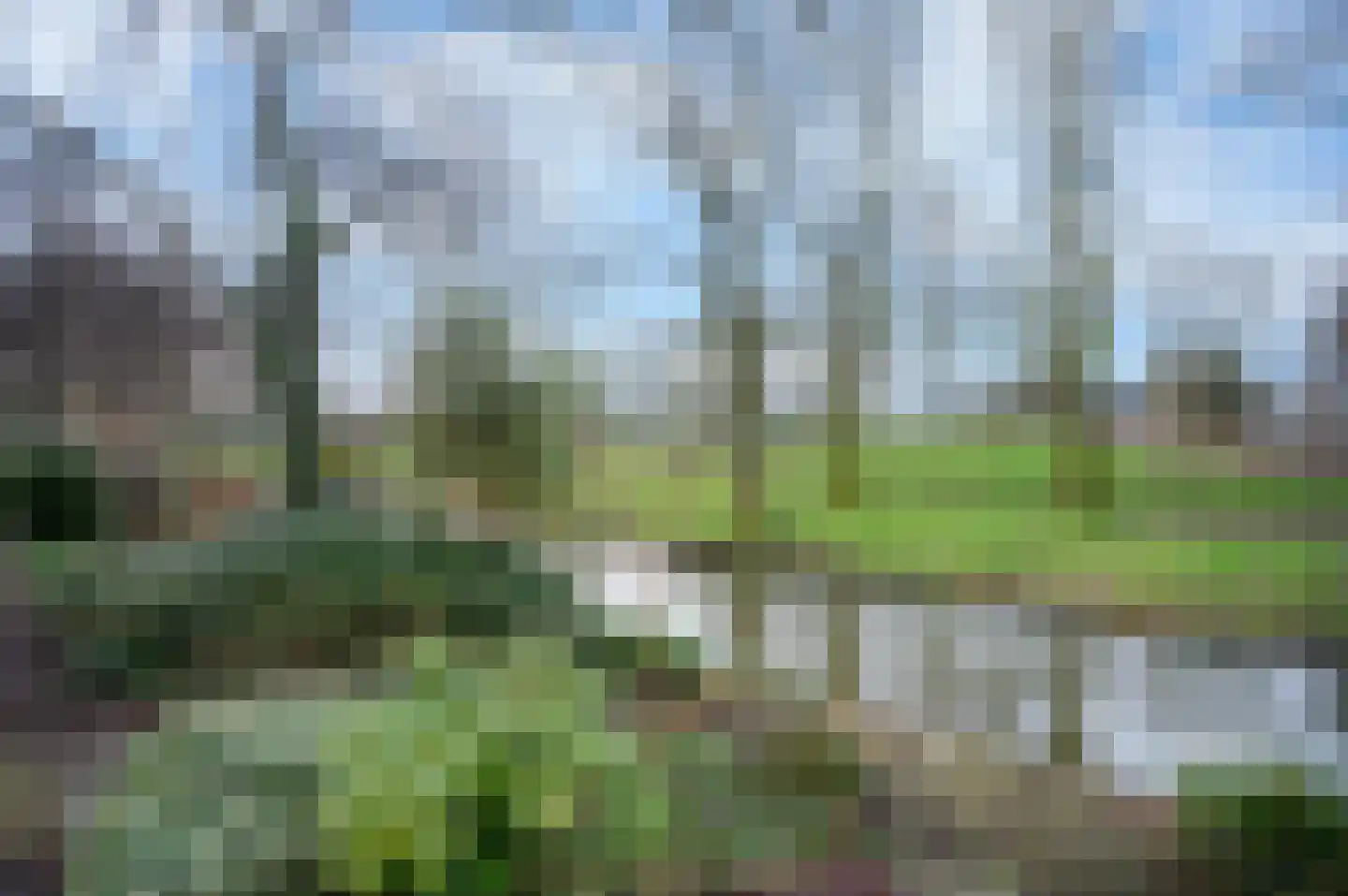 Doornenburg 122 Alphen aan den Rijn thumbnail 22
