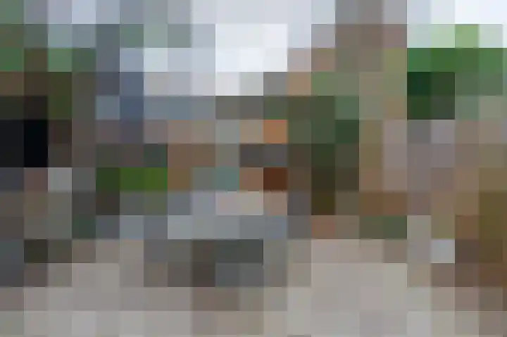 Doornenburg 124 Alphen aan den Rijn thumbnail 17