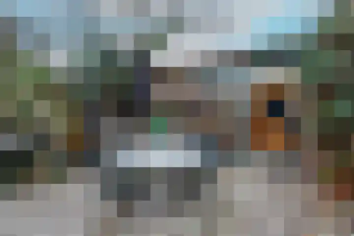 Doornenburg 124 Alphen aan den Rijn thumbnail 18