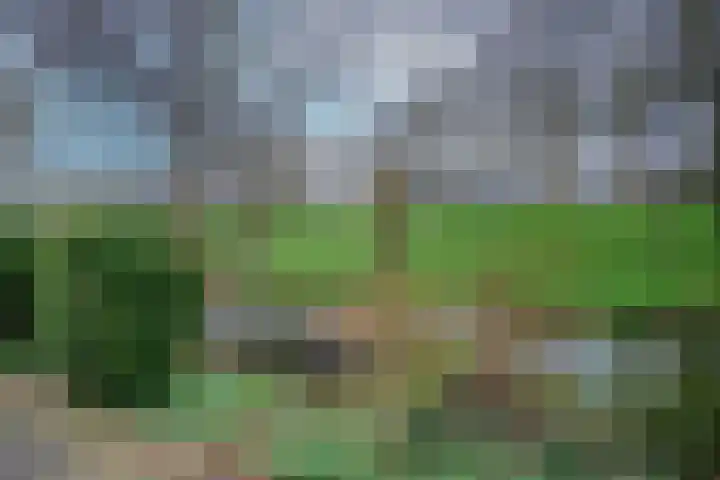 Doornenburg 124 Alphen aan den Rijn thumbnail 33