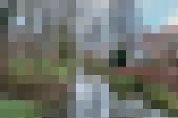 Doornenburg 124 Alphen aan den Rijn thumbnail 34