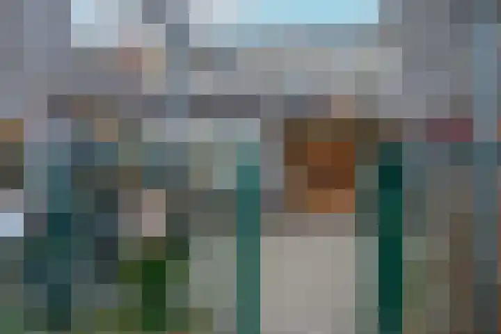 Doornenburg 124 Alphen aan den Rijn thumbnail 39