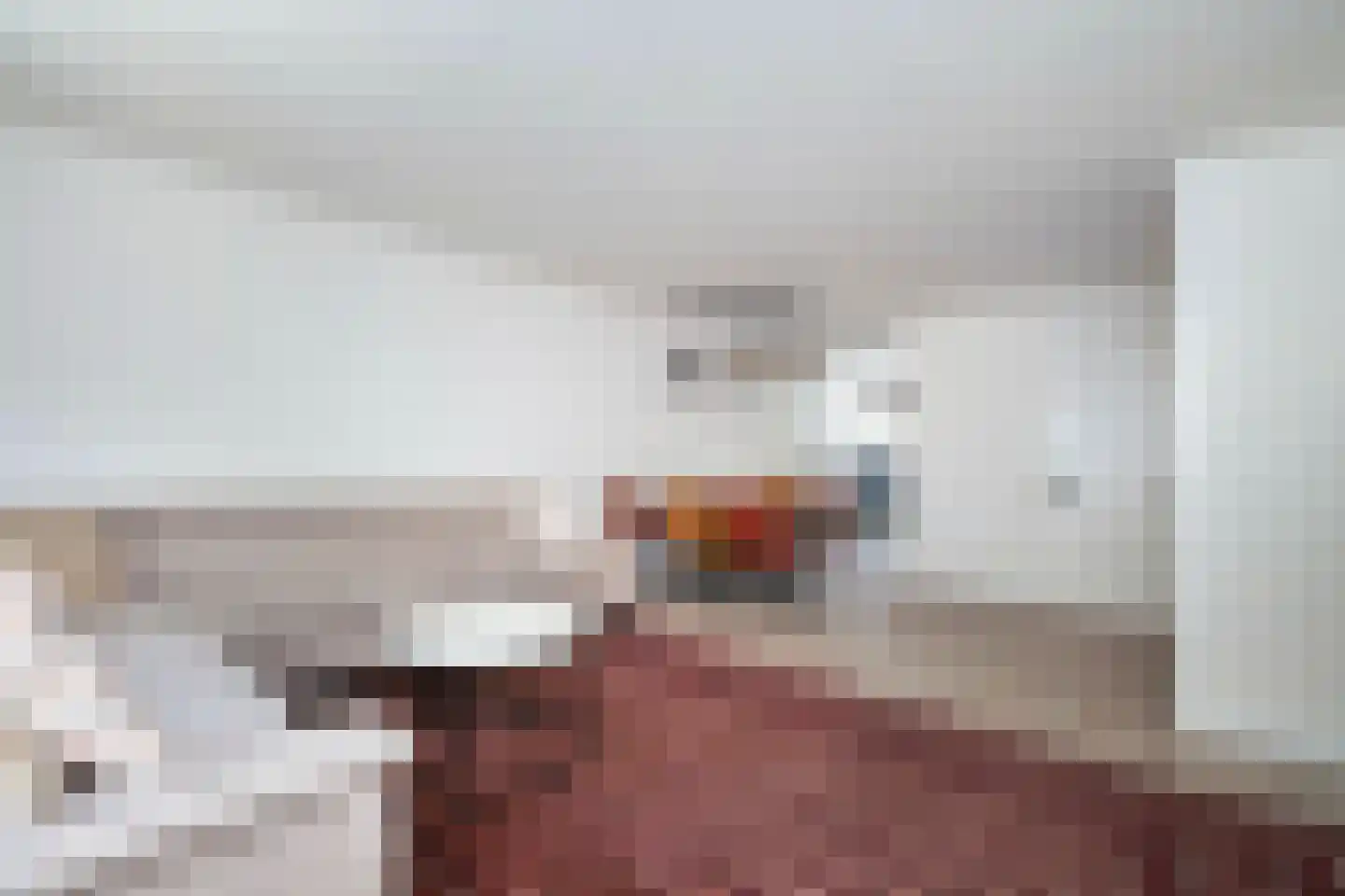 Doornenburg 126 Dordrecht thumbnail 5