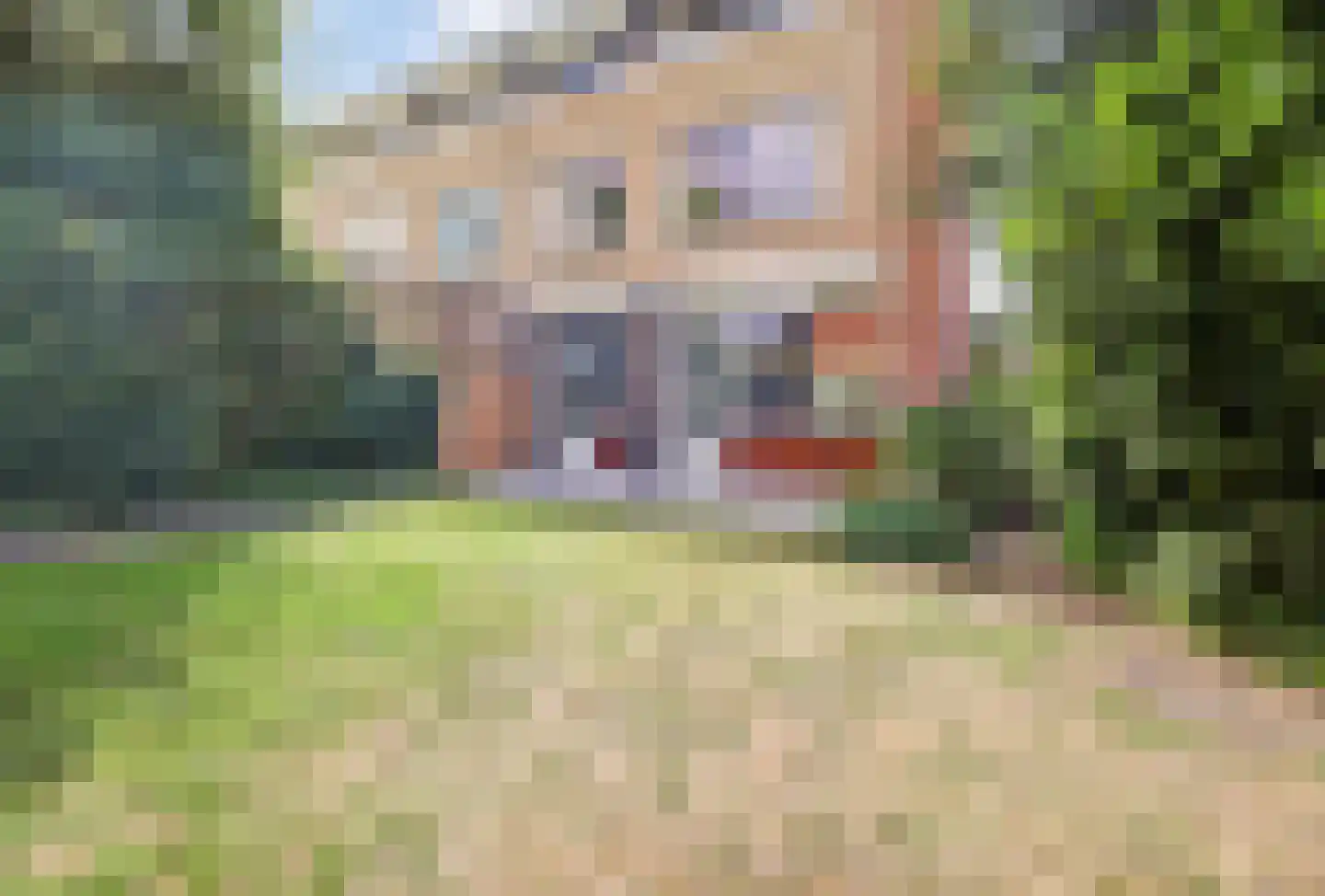 Doornenburg 20 Ugchelen thumbnail 20