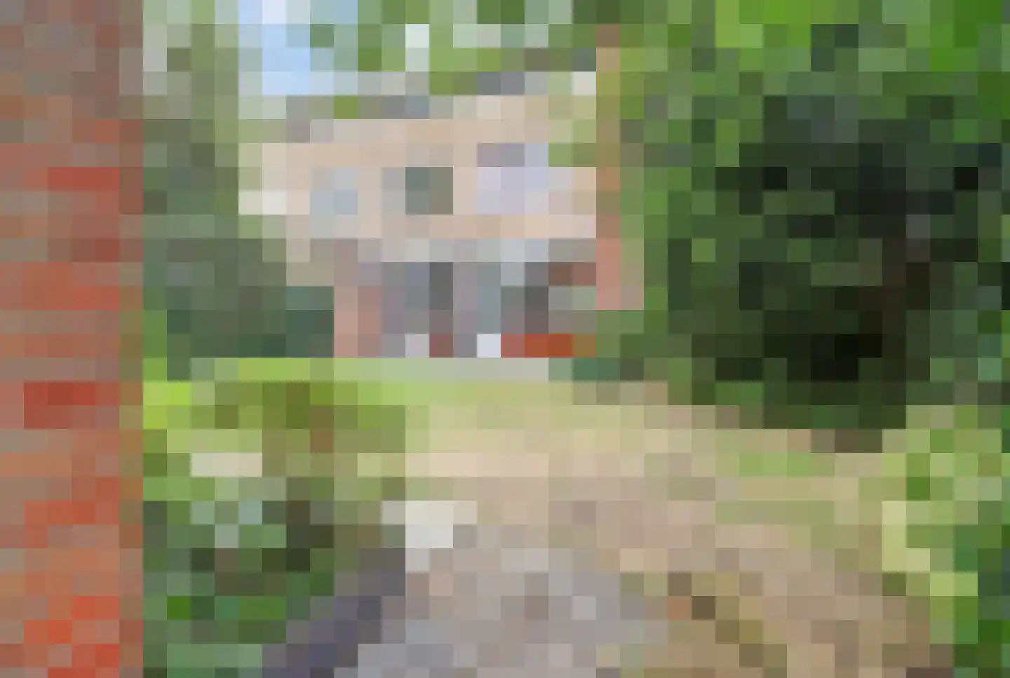 Doornenburg 20 Ugchelen thumbnail 21