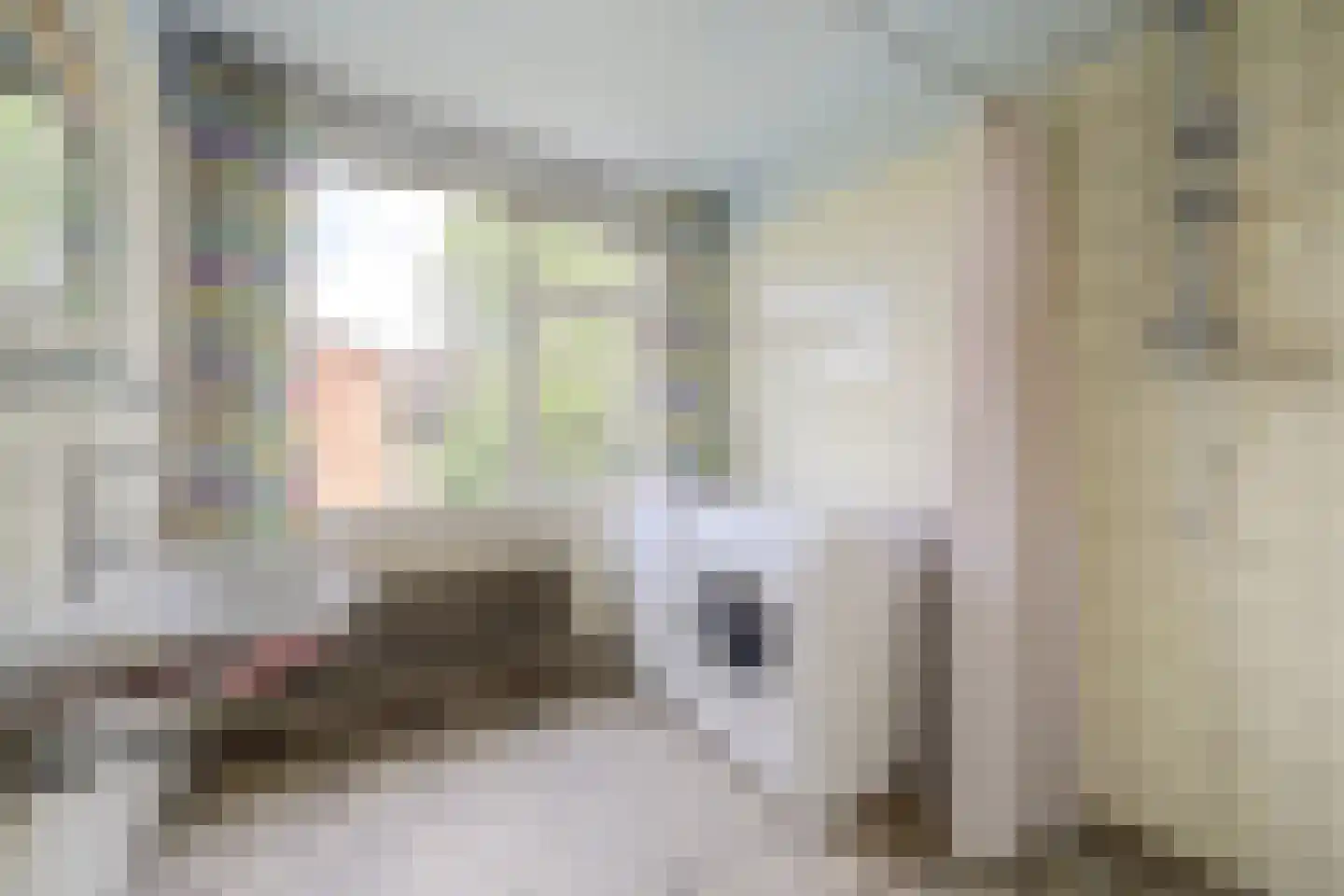 Doornenburg 20 Ugchelen thumbnail 33