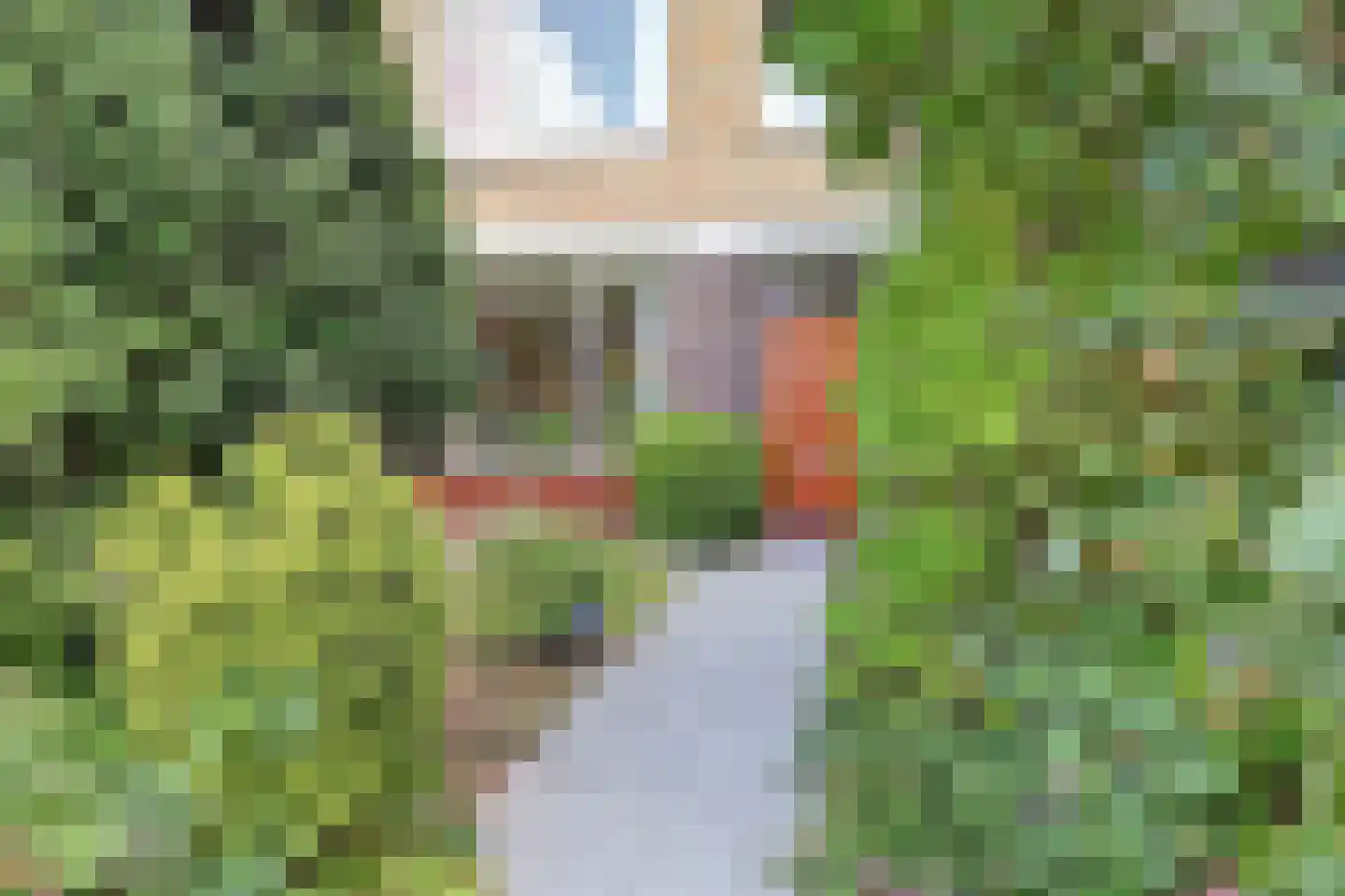 Doornenburg 20 Ugchelen thumbnail 4