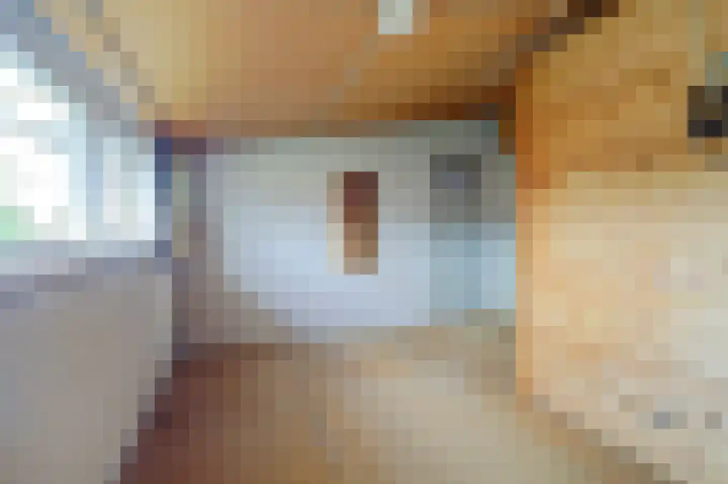 Doornenburg 20 Ugchelen thumbnail 42