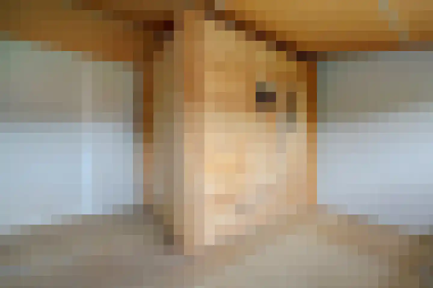 Doornenburg 20 Ugchelen thumbnail 44