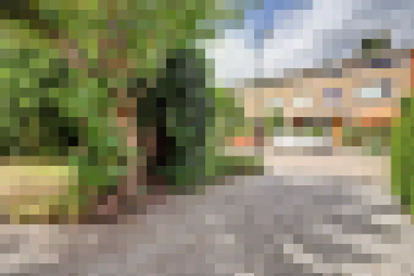 Doornenburg 20 Ugchelen thumbnail 49
