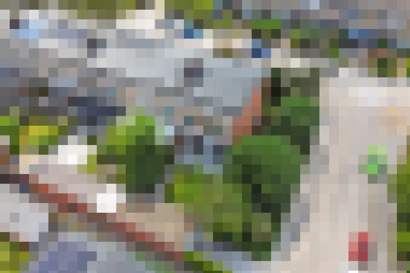 Doornenburg 20 Ugchelen thumbnail 50