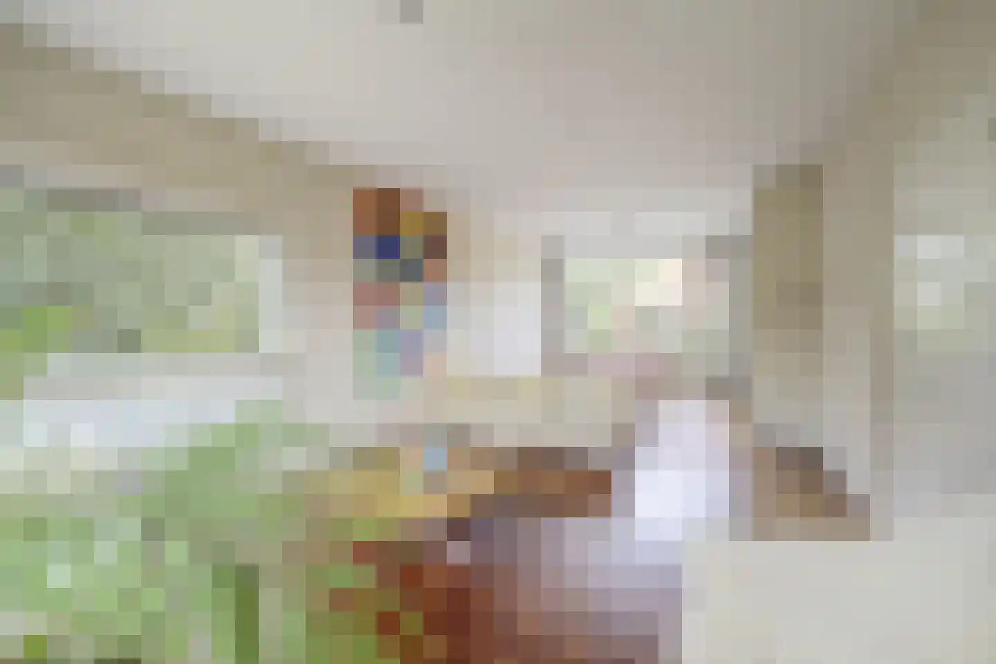 Doornenburg 20 Ugchelen thumbnail 8