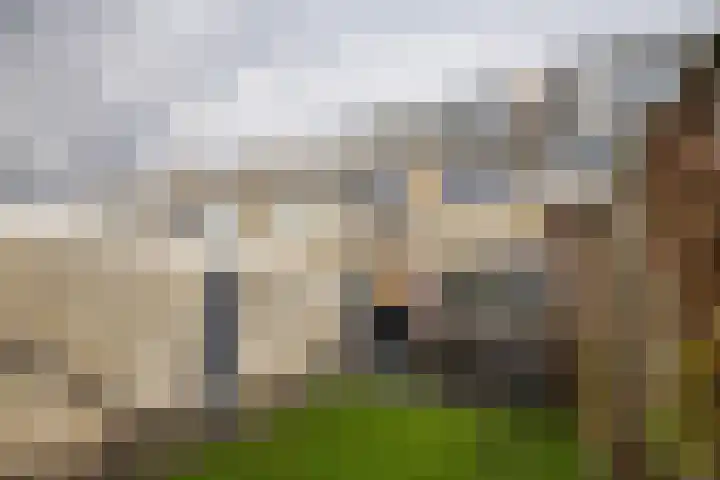 Doornenburg 21 Ugchelen thumbnail 25