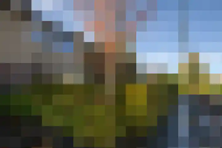Doornenburg 21 Ugchelen thumbnail 29