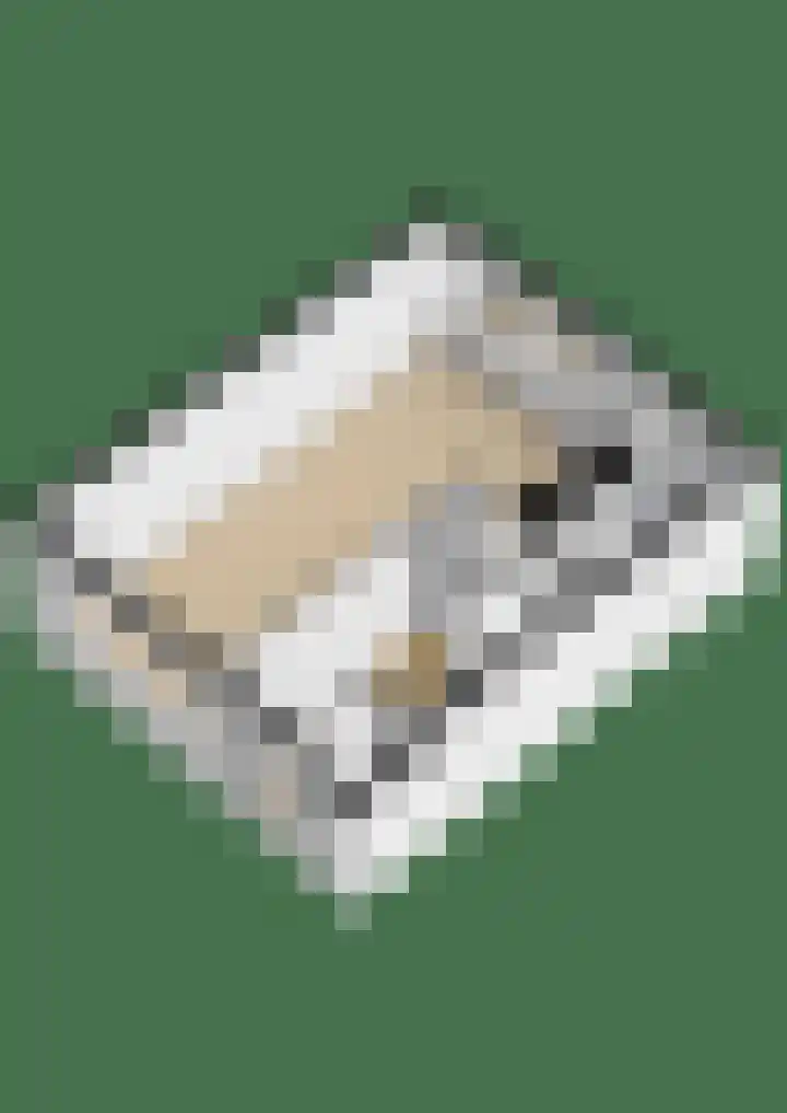 Doornenburg 21 Ugchelen thumbnail 33