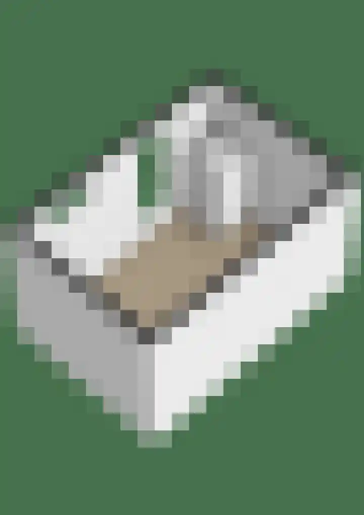 Doornenburg 21 Ugchelen thumbnail 39