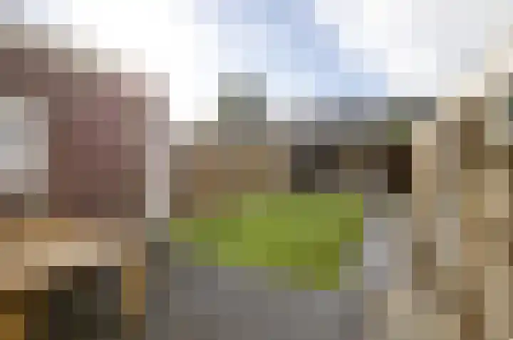Doornenburg 21 Ugchelen thumbnail 4