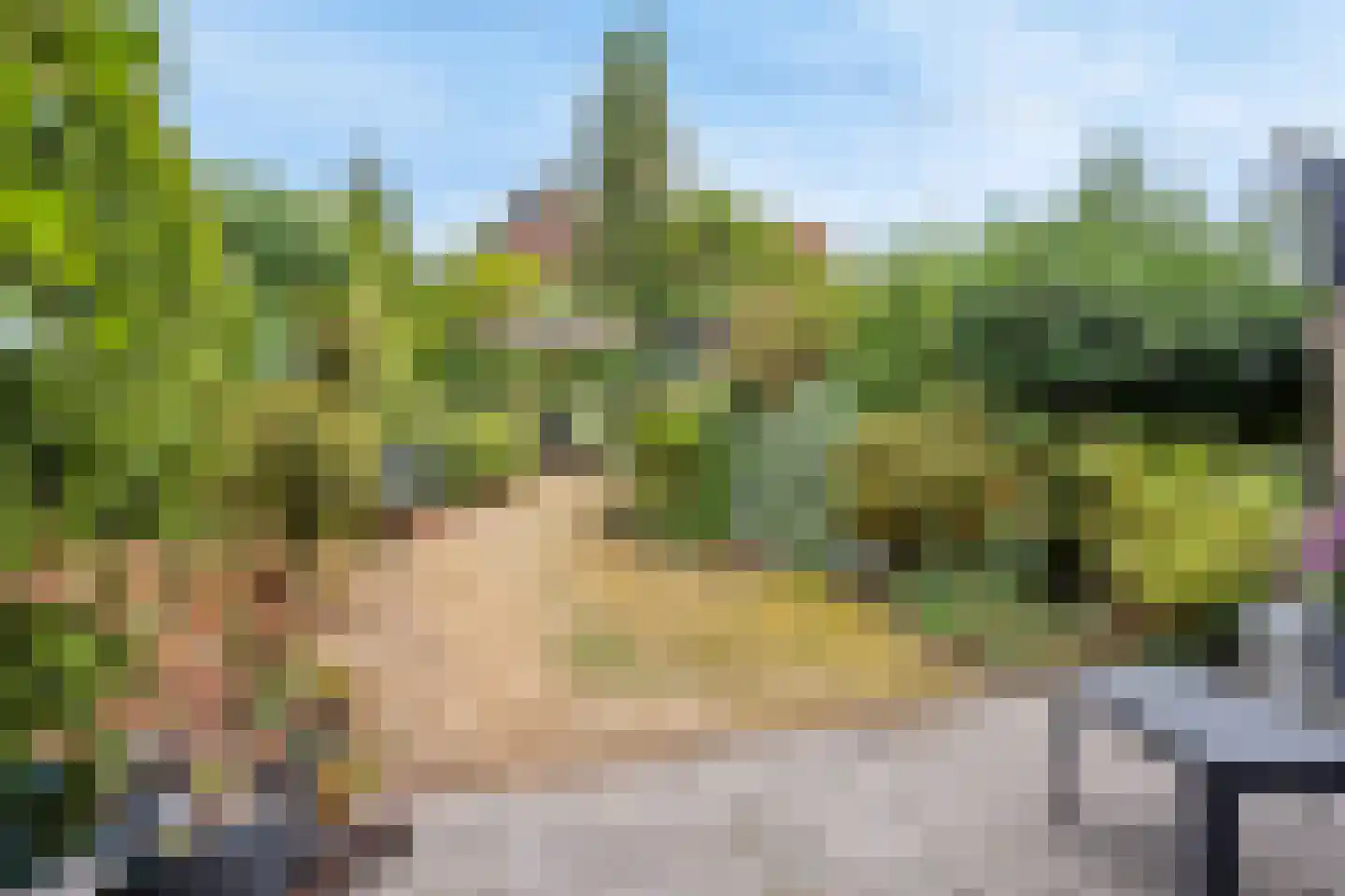 Doornenburg 25 Leidschendam thumbnail 31