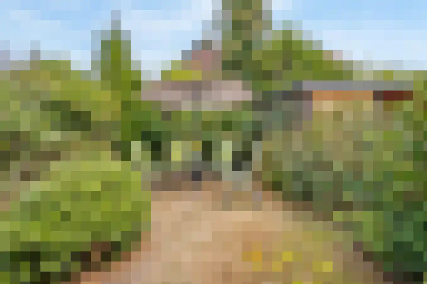 Doornenburg 25 Leidschendam thumbnail 33