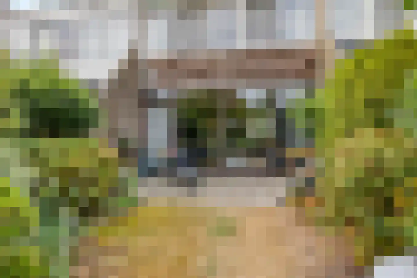 Doornenburg 25 Leidschendam thumbnail 36