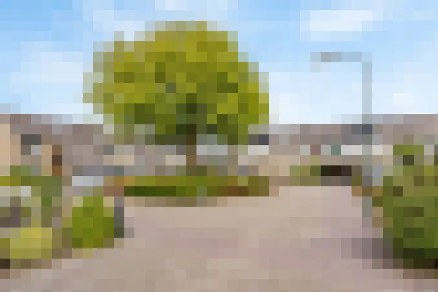 Doornenburg 25 Leidschendam thumbnail 42