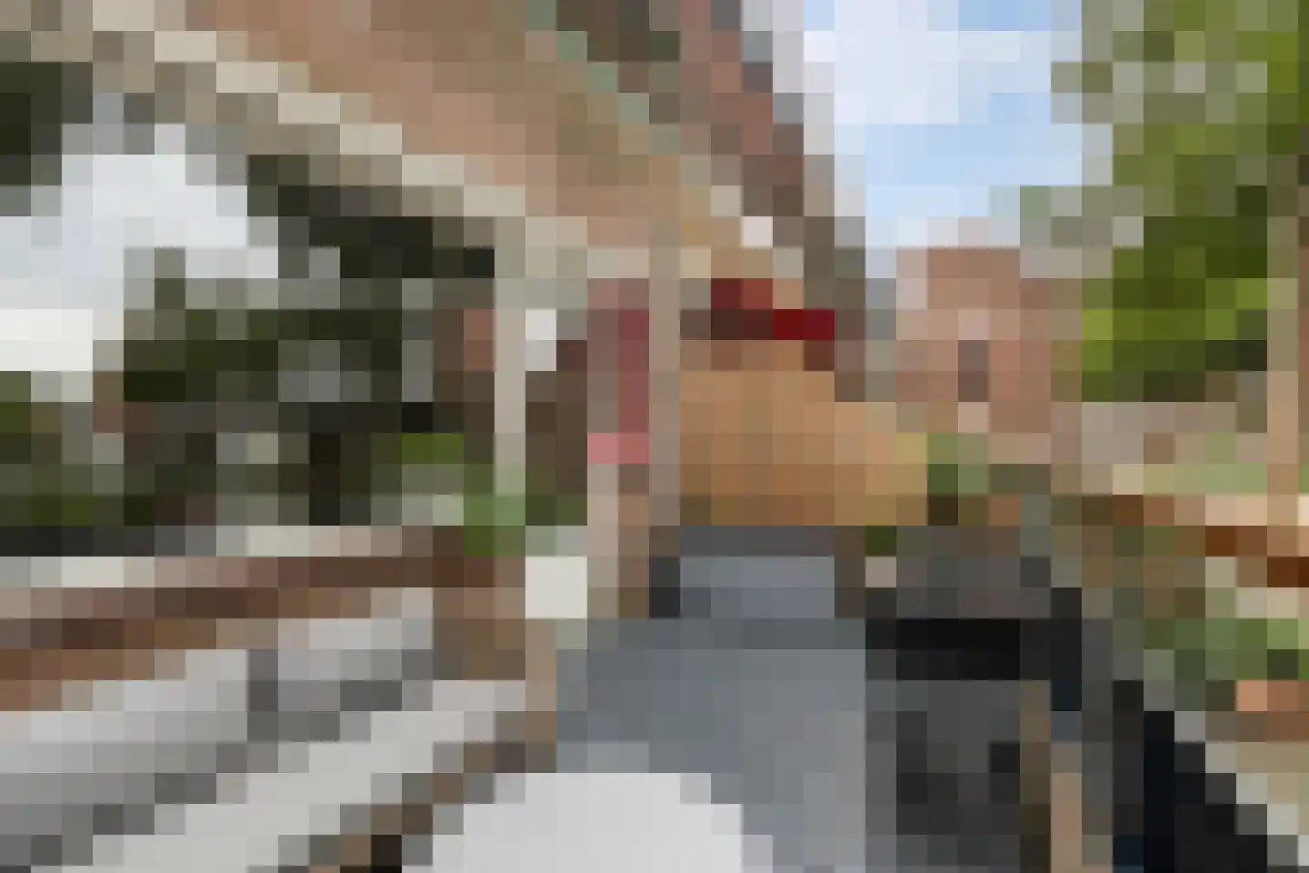 Doornenburg 29 Dordrecht thumbnail 28