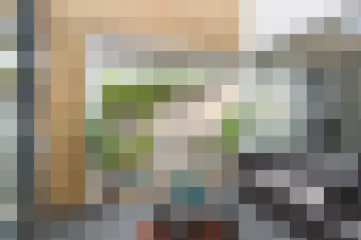 Doornenburg 29 Rotterdam thumbnail 17