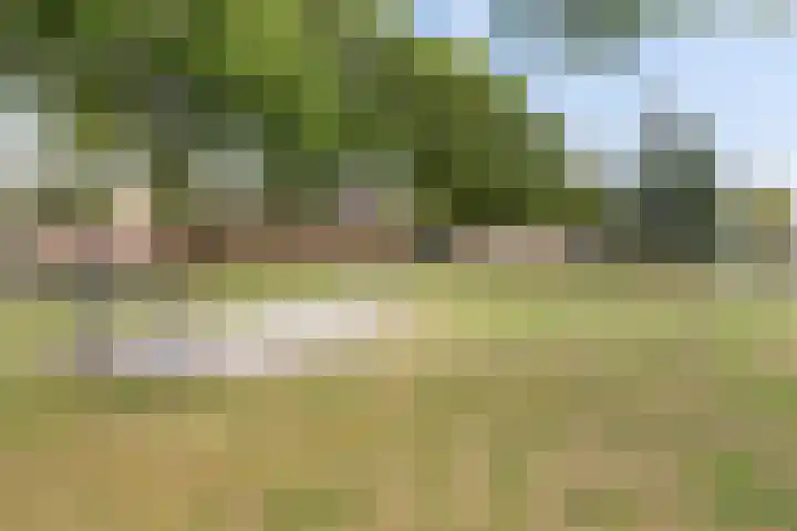 Doornenburg 29 Rotterdam thumbnail 33