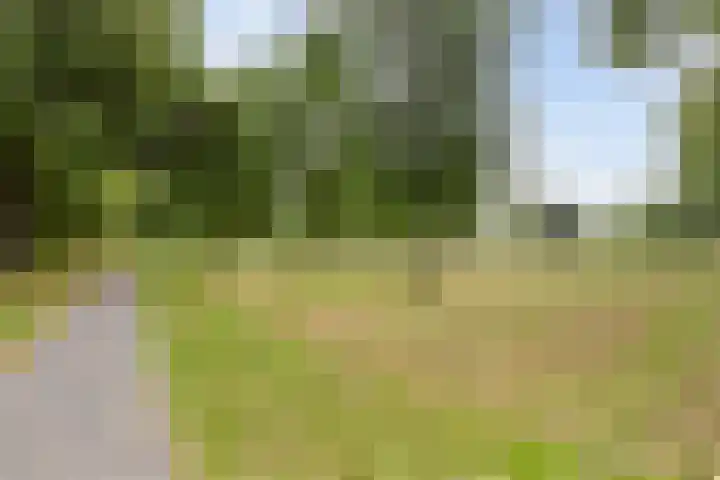 Doornenburg 29 Rotterdam thumbnail 35