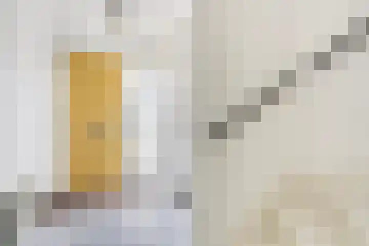 Doornenburg 29 Rotterdam thumbnail 7