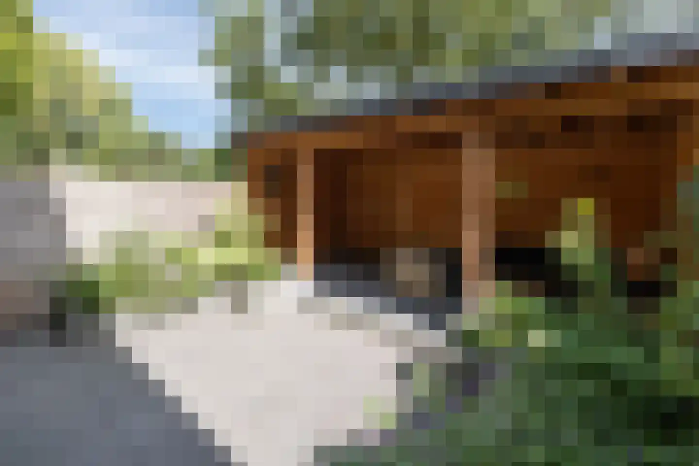 Doornenburg 31 Barneveld thumbnail 37