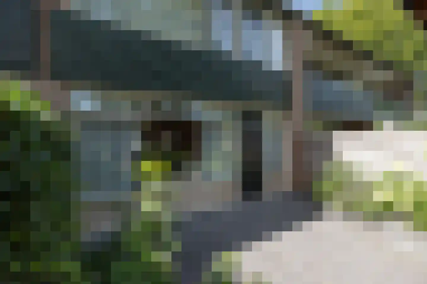 Doornenburg 31 Barneveld thumbnail 42